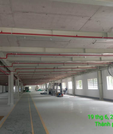 Dầm Sàn Deck: Giải Pháp Hiện Đại Từ Công Ty Cổ Phần Kết Cấu Thép Cheng Yuan 2025